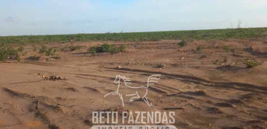 Fazenda à Venda 15.726 Hectares Para Lavoura no MATOPIBA | Santa Rosa/PI Fazenda à Venda 15.726 Hectares Para Lavoura no MATOPIBA | Santa Rosa/PI