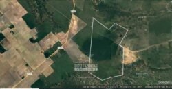 Fazenda à Venda 15.726 Hectares Para Lavoura no MATOPIBA | Santa Rosa/PI Fazenda à Venda 15.726 Hectares Para Lavoura no MATOPIBA | Santa Rosa/PI