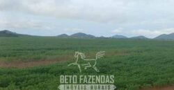 Fazenda à 12.565 hectares de Dupla Aptidão | Santana do Araguaia/PA