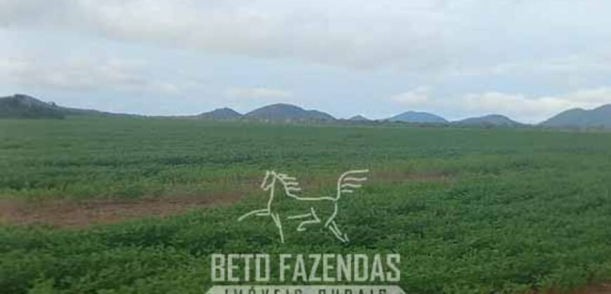 Fazenda à 12.565 hectares de Dupla Aptidão | Santana do Araguaia/PA