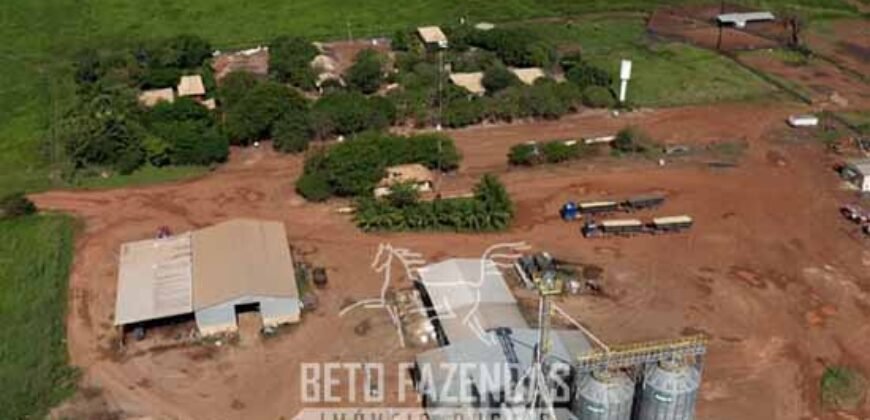 Fazenda à 12.565 hectares de Dupla Aptidão | Santana do Araguaia/PA