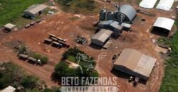 Fazenda à 12.565 hectares de Dupla Aptidão | Santana do Araguaia/PA