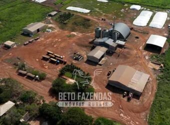 Fazenda à 12.565 hectares de Dupla Aptidão | Santana do Araguaia/PA Fazenda à 12.565 hectares de Dupla Aptidão | Santana do Araguaia/PA