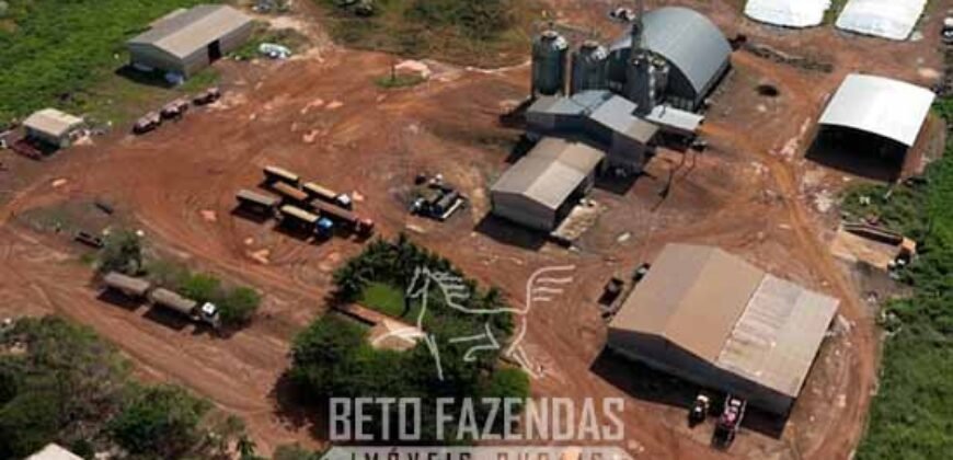 Fazenda à 12.565 hectares de Dupla Aptidão | Santana do Araguaia/PA