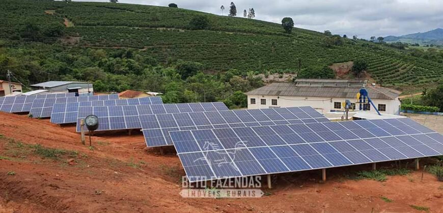 Fazenda de Café à Venda com 127 hectares em Plena Produção | Alfenas/ MG