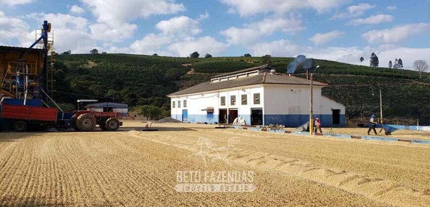 Fazenda de Café à Venda com 127 hectares em Plena Produção | Alfenas/ MG
