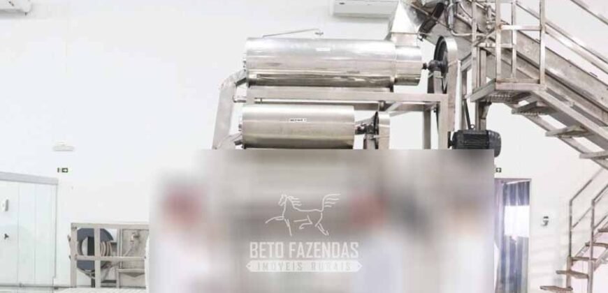 Indústria de Polpa de Açaí à Venda de Alta Capacidade com Fazenda Própria – Pará