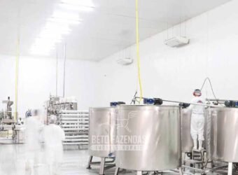 Indústria de Polpa de Açaí à Venda de Alta Capacidade com Fazenda Própria – Pará Indústria de Polpa de Açaí à Venda de Alta Capacidade com Fazenda Própria – Pará