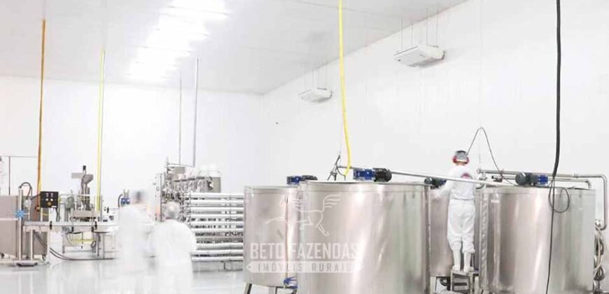 Indústria de Polpa de Açaí à Venda de Alta Capacidade com Fazenda Própria – Pará