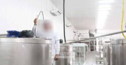 Indústria de Polpa de Açaí à Venda de Alta Capacidade com Fazenda Própria – Pará