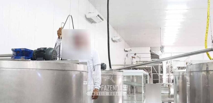 Indústria de Polpa de Açaí à Venda de Alta Capacidade com Fazenda Própria – Pará