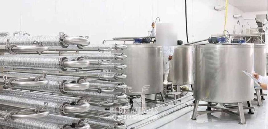 Indústria de Polpa de Açaí à Venda de Alta Capacidade com Fazenda Própria – Pará