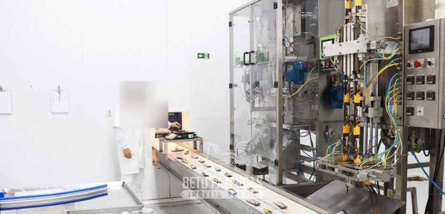 Indústria de Polpa de Açaí à Venda de Alta Capacidade com Fazenda Própria – Pará