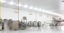 Indústria de Polpa de Açaí à Venda de Alta Capacidade com Fazenda Própria – Pará