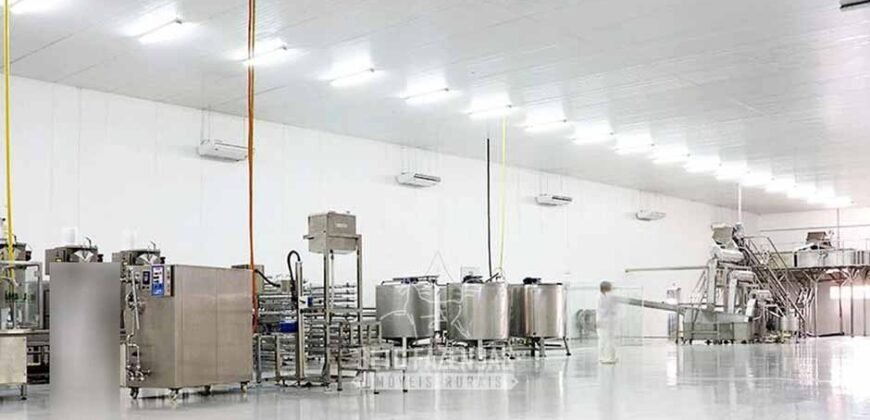 Indústria de Polpa de Açaí à Venda de Alta Capacidade com Fazenda Própria – Pará