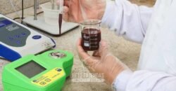 Indústria de Polpa de Açaí à Venda de Alta Capacidade com Fazenda Própria – Pará