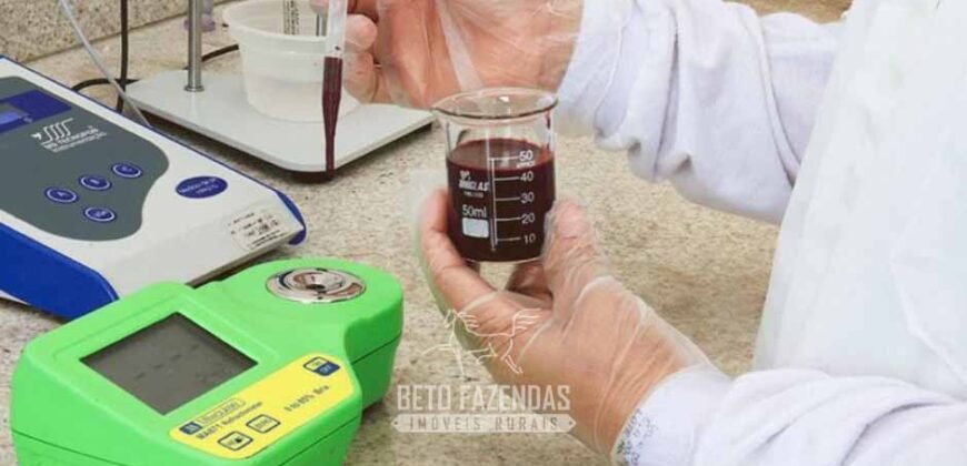 Indústria de Polpa de Açaí à Venda de Alta Capacidade com Fazenda Própria – Pará