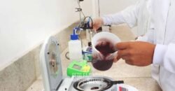 Indústria de Polpa de Açaí à Venda de Alta Capacidade com Fazenda Própria – Pará