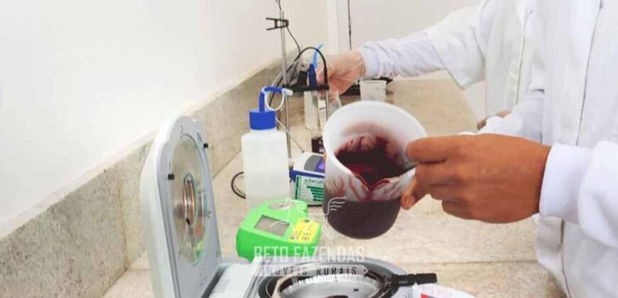 Indústria de Polpa de Açaí à Venda de Alta Capacidade com Fazenda Própria – Pará