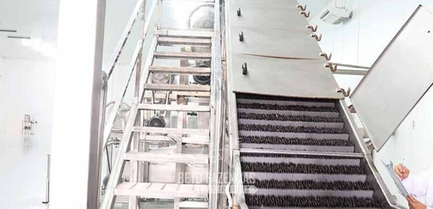 Indústria de Polpa de Açaí à Venda de Alta Capacidade com Fazenda Própria – Pará