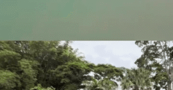 Mega Fazenda 16.000 hectares com Silos de Armazenagem | Muquém/ GO