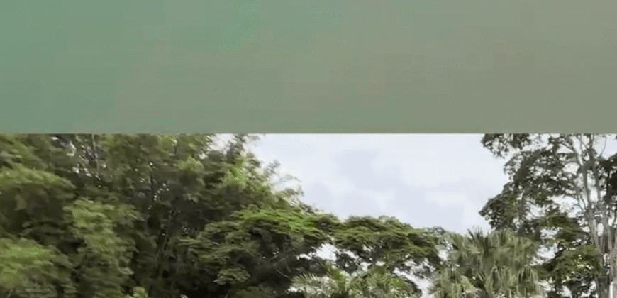 Mega Fazenda 16.000 hectares com Silos de Armazenagem | Muquém/ GO