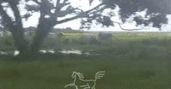 Fazenda à 12.565 hectares de Dupla Aptidão | Santana do Araguaia/PA