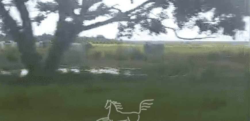 Fazenda à 12.565 hectares de Dupla Aptidão | Santana do Araguaia/PA