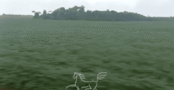 Fazenda à 12.565 hectares de Dupla Aptidão | Santana do Araguaia/PA