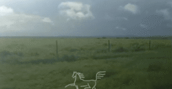 Fazenda à 12.565 hectares de Dupla Aptidão | Santana do Araguaia/PA