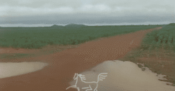 Fazenda à 12.565 hectares de Dupla Aptidão | Santana do Araguaia/PA