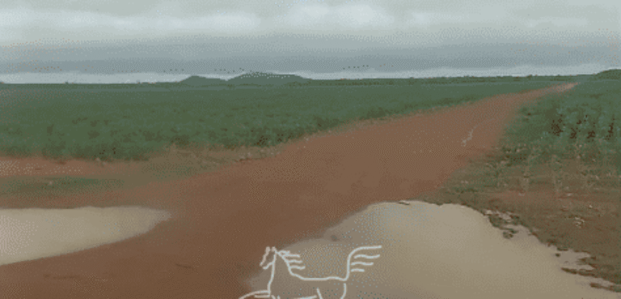 Fazenda à 12.565 hectares de Dupla Aptidão | Santana do Araguaia/PA