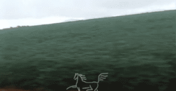 Fazenda à 12.565 hectares de Dupla Aptidão | Santana do Araguaia/PA