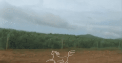 Fazenda à 12.565 hectares de Dupla Aptidão | Santana do Araguaia/PA