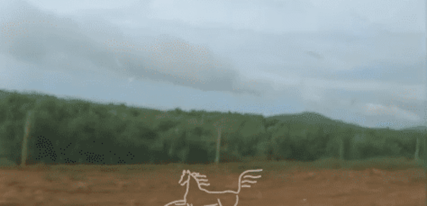 Fazenda à 12.565 hectares de Dupla Aptidão | Santana do Araguaia/PA