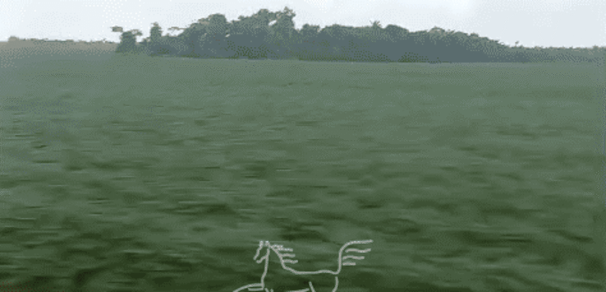 Fazenda à 12.565 hectares de Dupla Aptidão | Santana do Araguaia/PA