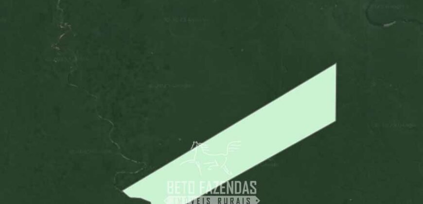 Área de Mata Fechada à Venda com 17.790 Hectares P/ Crédito de Carbono | Novo Aripuanã/ AM