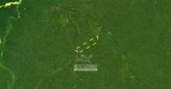 Área de Mata Fechada à Venda com 17.790 Hectares P/ Crédito de Carbono | Novo Aripuanã/ AM