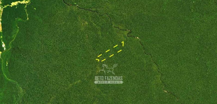 Área de Mata Fechada à Venda com 17.790 Hectares P/ Crédito de Carbono | Novo Aripuanã/ AM
