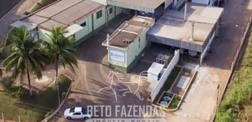 Venda de Laticício com 5 mil m² Alto Faturamento Toda Infraestrutura em Minas Gerais Venda de Laticício com 5 mil m² Alto Faturamento Toda Infraestrutura em Minas Gerais