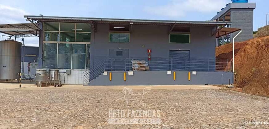 Venda de Laticício com 5 mil m² Alto Faturamento Toda Infraestrutura em Minas Gerais Venda de Laticício com 5 mil m² Alto Faturamento Toda Infraestrutura em Minas Gerais