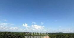 Fazenda à Venda de Café 640 Hectares Produção Industrial SUl de Minas | Região de Alfenas/ MG Fazenda à Venda de Café 640 Hectares Produção Industrial SUl de Minas | Região de Alfenas/ MG