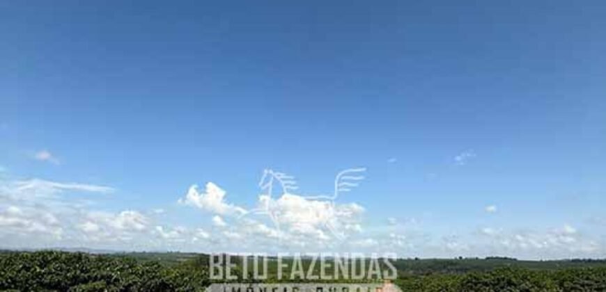 Fazenda à Venda de Café 640 Hectares Produção Industrial SUl de Minas | Região de Alfenas/ MG Fazenda à Venda de Café 640 Hectares Produção Industrial SUl de Minas | Região de Alfenas/ MG