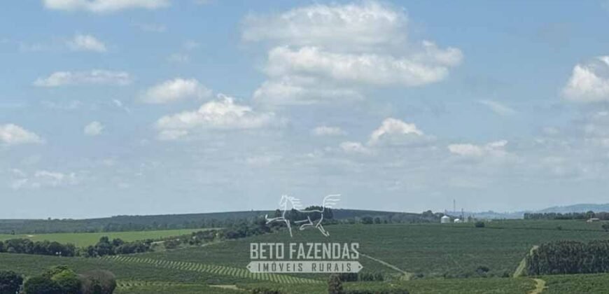 Fazenda à Venda de Café 640 Hectares Produção Industrial SUl de Minas | Região de Alfenas/ MG Fazenda à Venda de Café 640 Hectares Produção Industrial SUl de Minas | Região de Alfenas/ MG