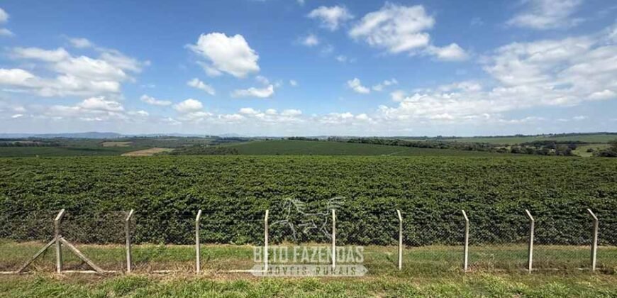 Fazenda à Venda de Café 640 Hectares Produção Industrial SUl de Minas | Região de Alfenas/ MG Fazenda à Venda de Café 640 Hectares Produção Industrial SUl de Minas | Região de Alfenas/ MG