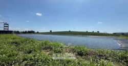 Fazenda à Venda de Café 640 Hectares Produção Industrial SUl de Minas | Região de Alfenas/ MG Fazenda à Venda de Café 640 Hectares Produção Industrial SUl de Minas | Região de Alfenas/ MG