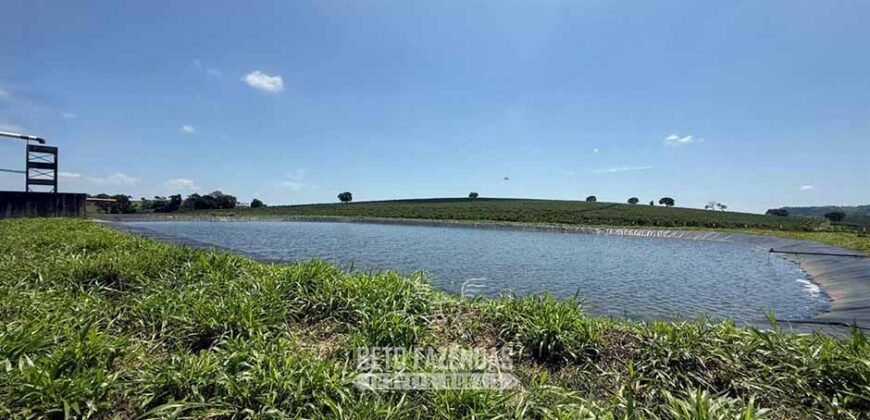 Fazenda à Venda de Café 640 Hectares Produção Industrial SUl de Minas | Região de Alfenas/ MG Fazenda à Venda de Café 640 Hectares Produção Industrial SUl de Minas | Região de Alfenas/ MG