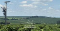 Fazenda à Venda de Café 640 Hectares Produção Industrial SUl de Minas | Região de Alfenas/ MG Fazenda à Venda de Café 640 Hectares Produção Industrial SUl de Minas | Região de Alfenas/ MG