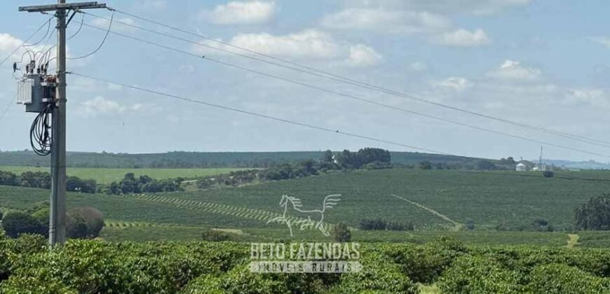 Fazenda à Venda de Café 640 Hectares Produção Industrial SUl de Minas | Região de Alfenas/ MG Fazenda à Venda de Café 640 Hectares Produção Industrial SUl de Minas | Região de Alfenas/ MG