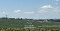 Fazenda à Venda de Café 640 Hectares Produção Industrial SUl de Minas | Região de Alfenas/ MG Fazenda à Venda de Café 640 Hectares Produção Industrial SUl de Minas | Região de Alfenas/ MG